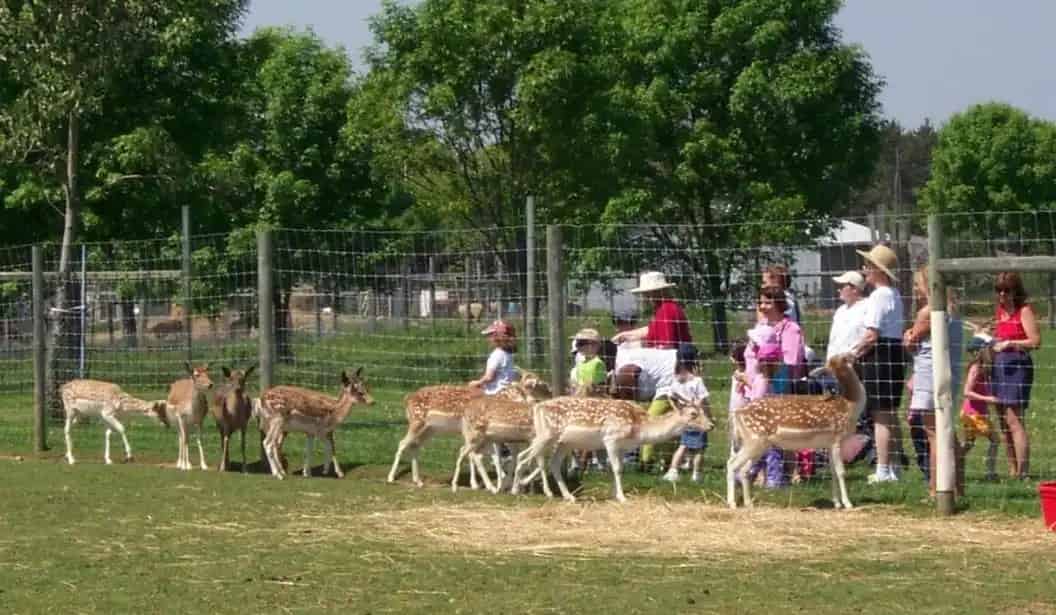 Oshawa Zoo and Fun Farm