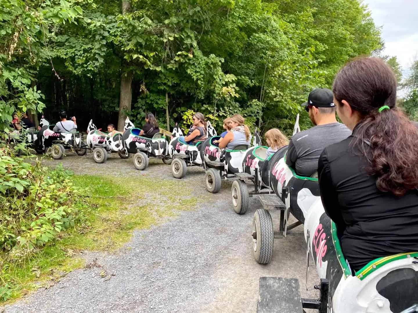 Cannamore Orchard