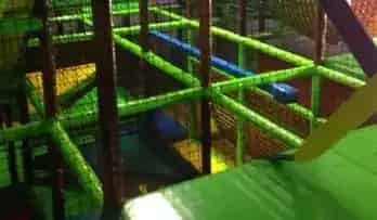 FUNtastic Forest