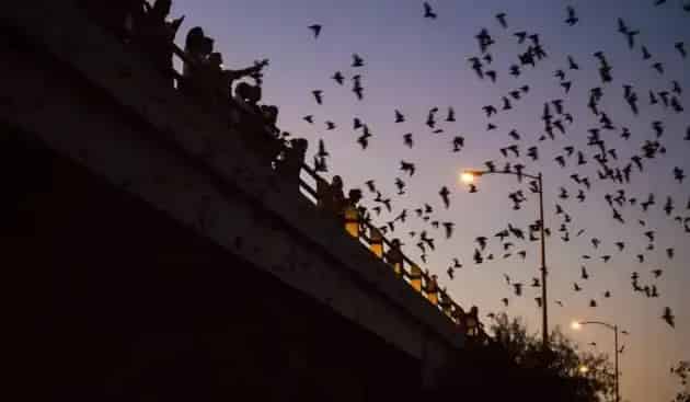 Buffalo Bayou Park