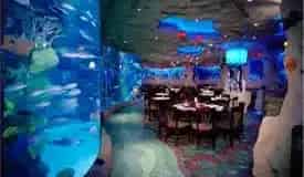 Downtown Aquarium