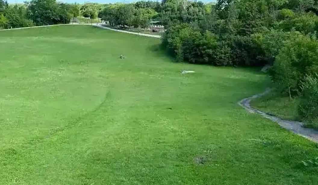 Cedarvale Park
