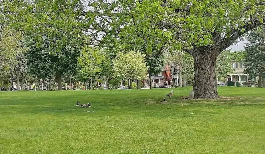 Victoria Park