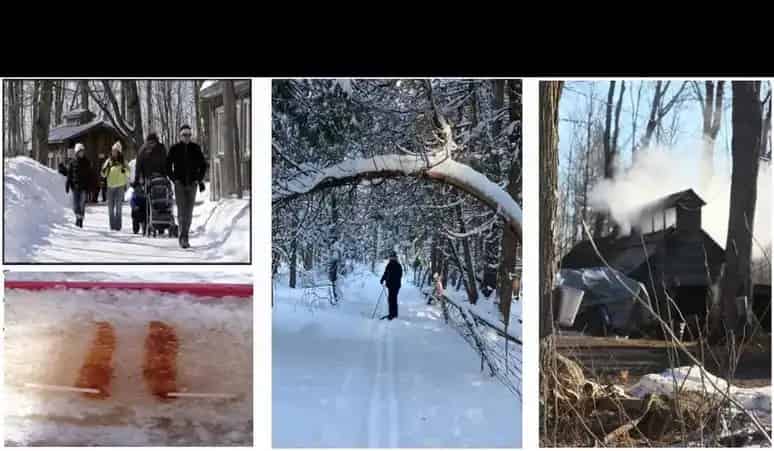 Proulx Maple & Berry Farm
