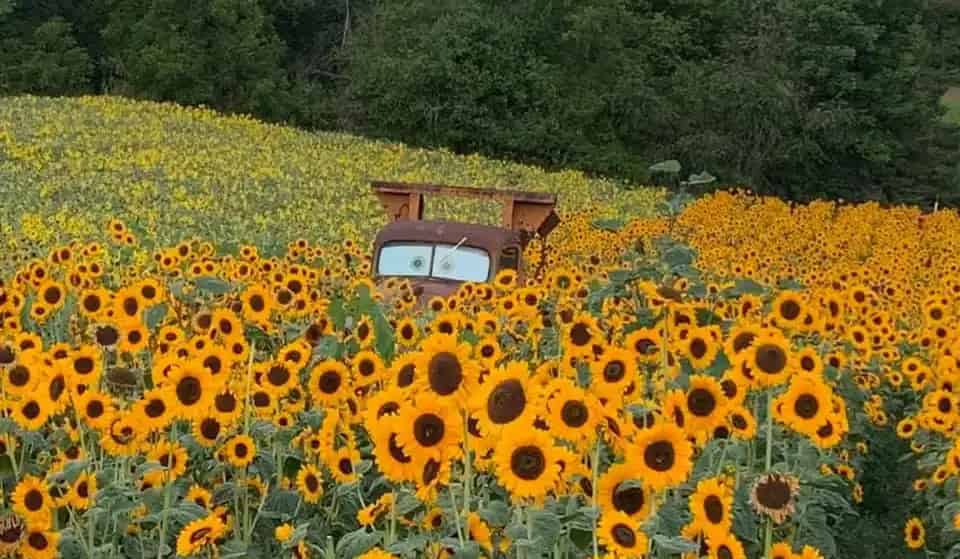Howells Adventure Farm Play Area and Fall Events