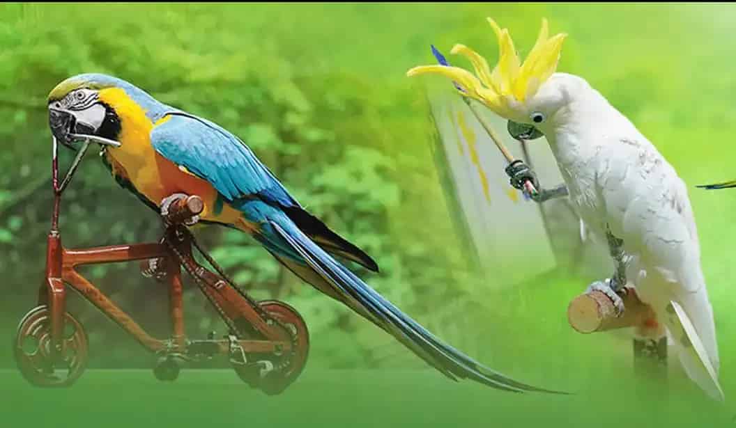 دبي دولفيناريوم