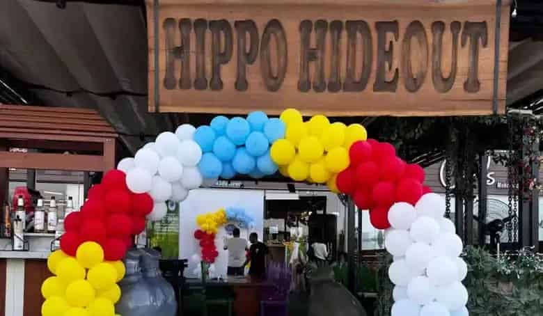 40% Off Hippo Hideout