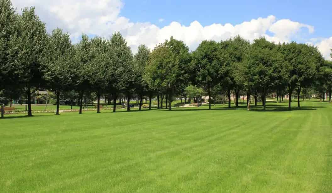 Esplanade Park