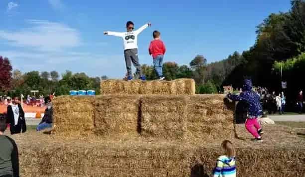Merry Farms