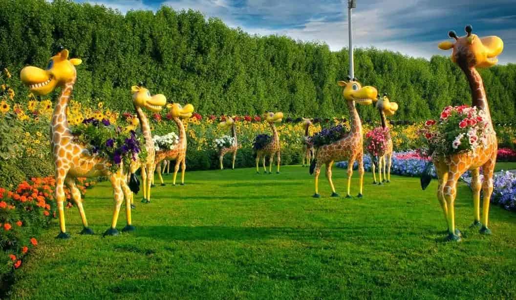دبي ميراكل جاردن