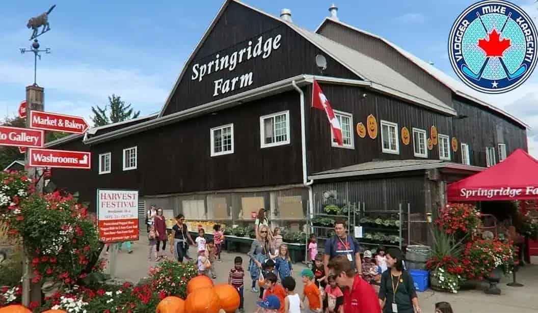 Springridge Farm