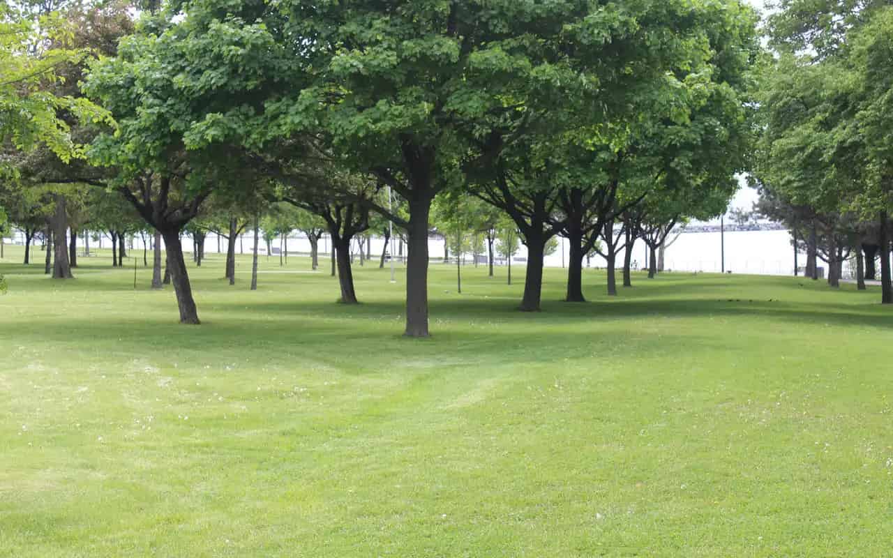 Marilyn Bell Park