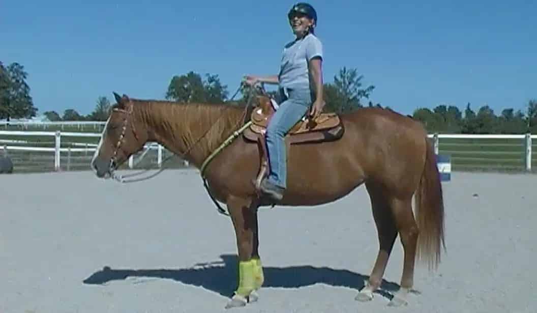 Equestrian Arts - Horse riding Classes