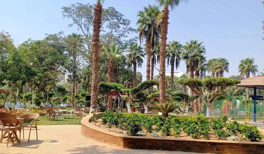 Child's Park | حديقة الطفل