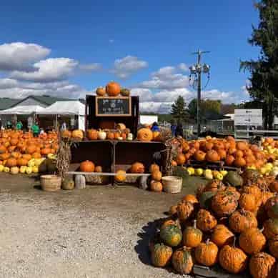 Barrie Hill Farms