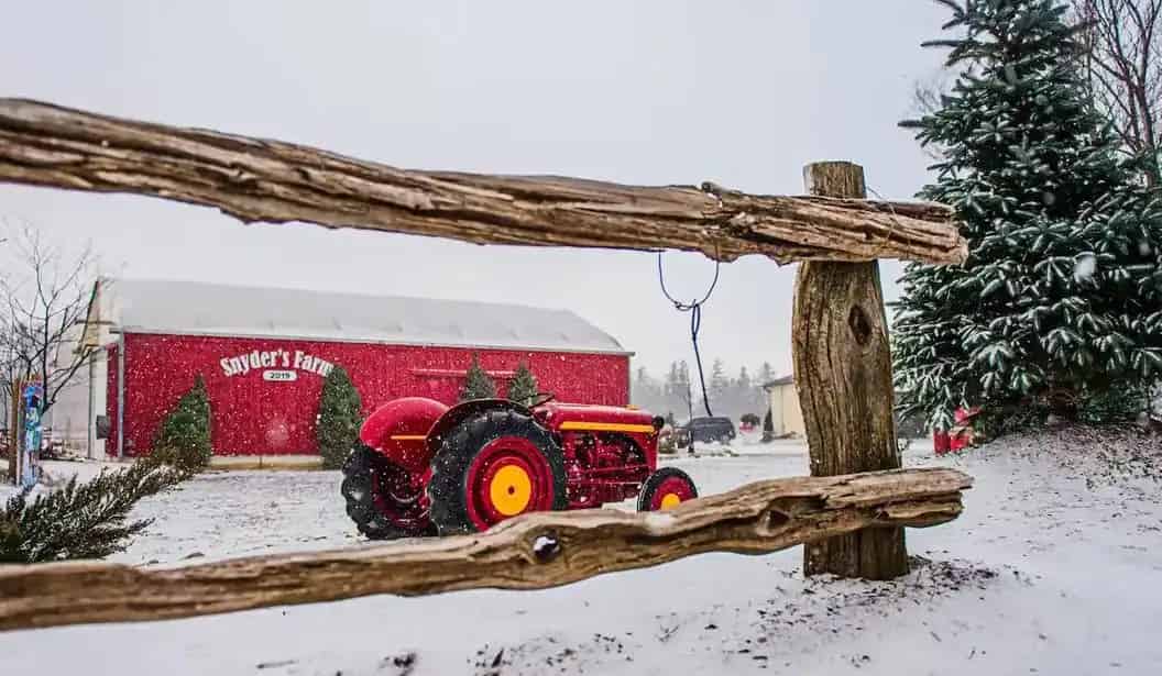 Snyder’s Family Farm