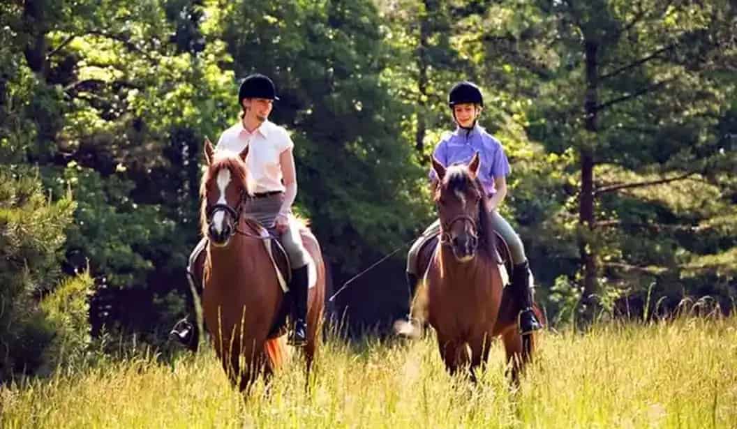 Stonewood Equestrian Riding Lessons