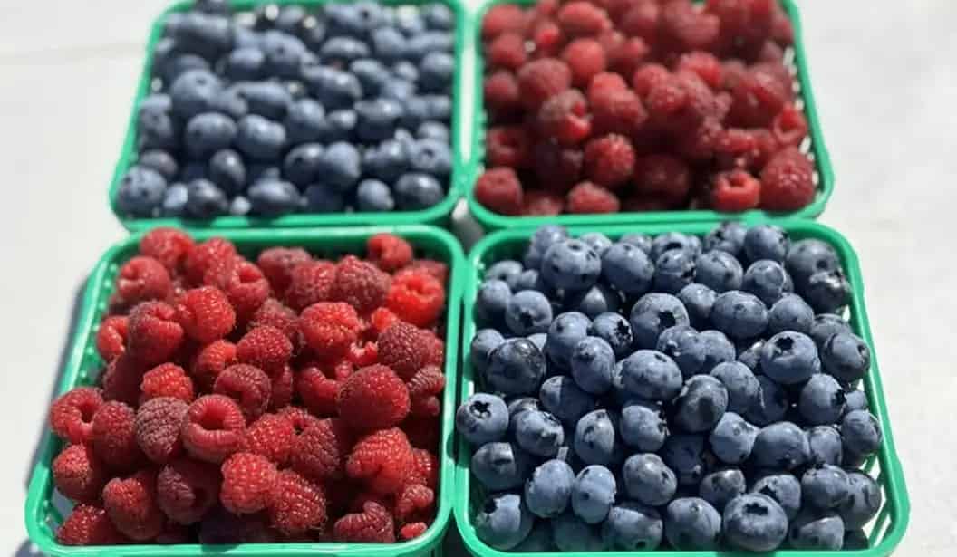 Fruition Berry Farm