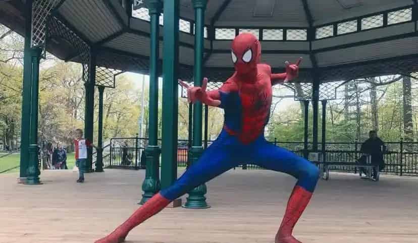 Spider-Fan Entertainer