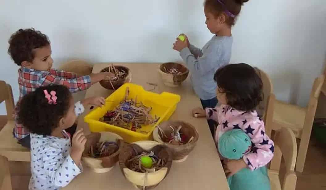 Sila Nursery