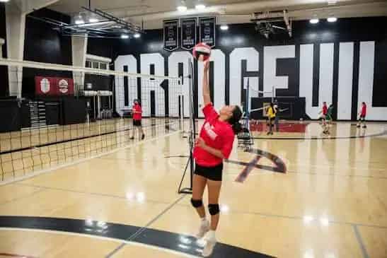 Athlete Institute