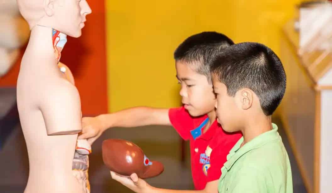Sharjah Science Museum
