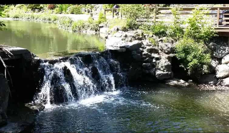 Edwards Gardens Tour