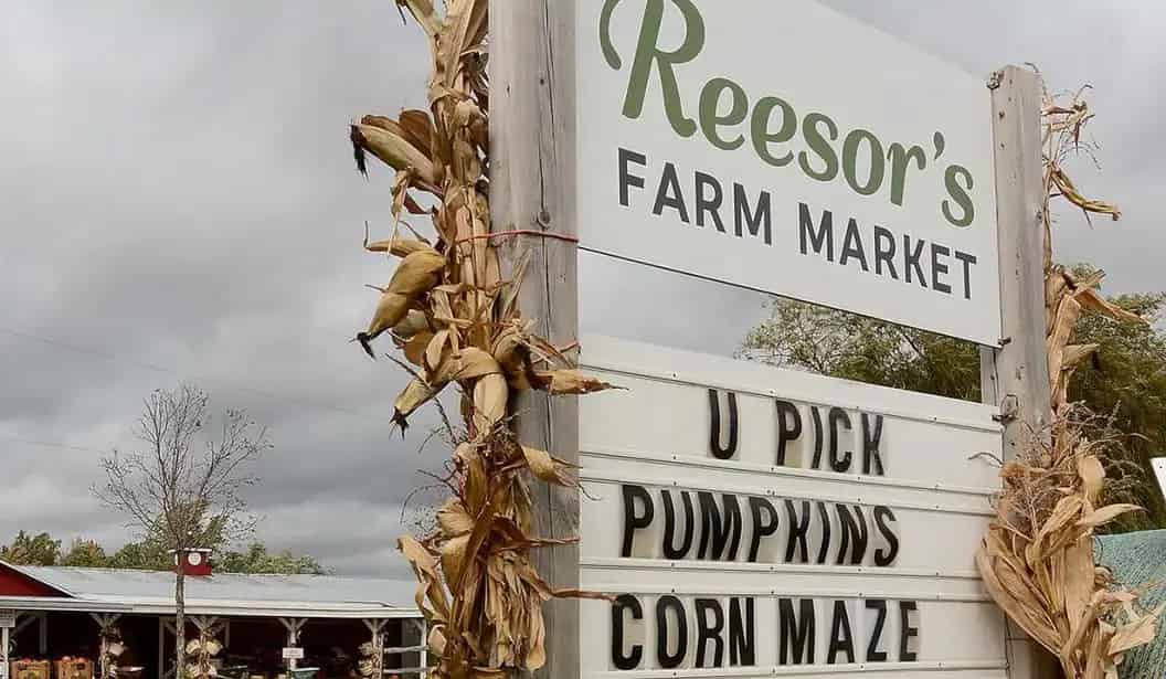 Reesor's Farm Market