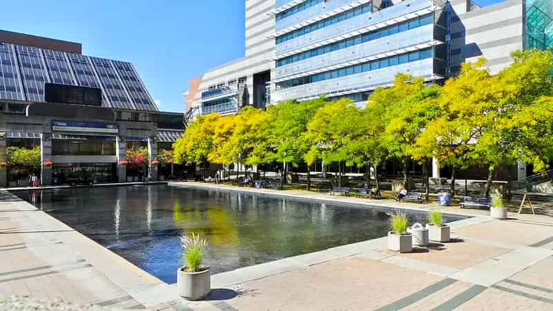 Mel Lastman Square