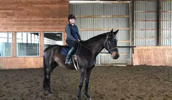 Stonewood Equestrian Riding Lessons