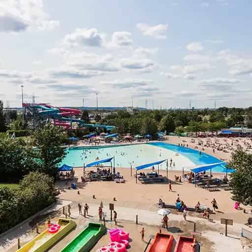 Wild Waterworks