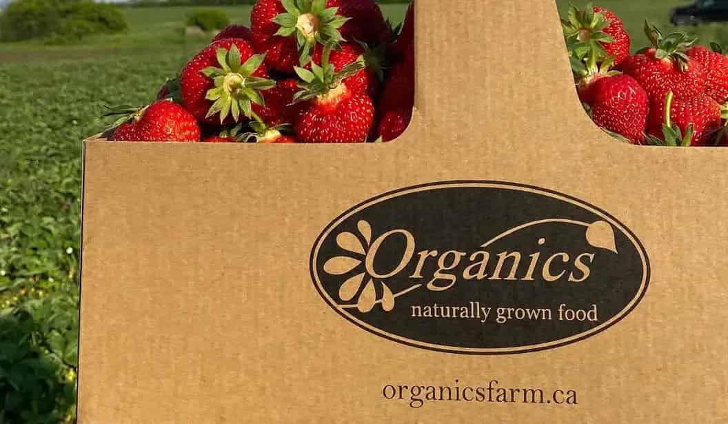 Organics Farm