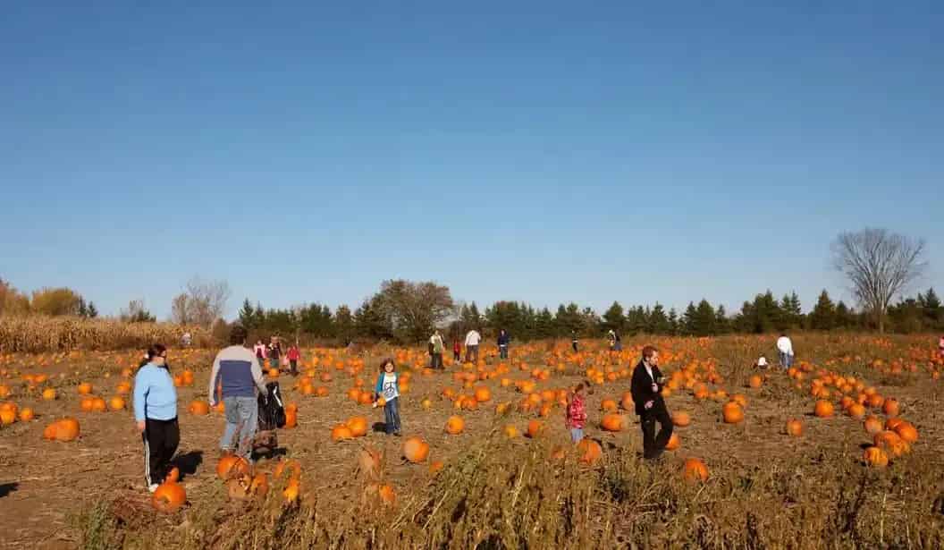Brantwood Farms