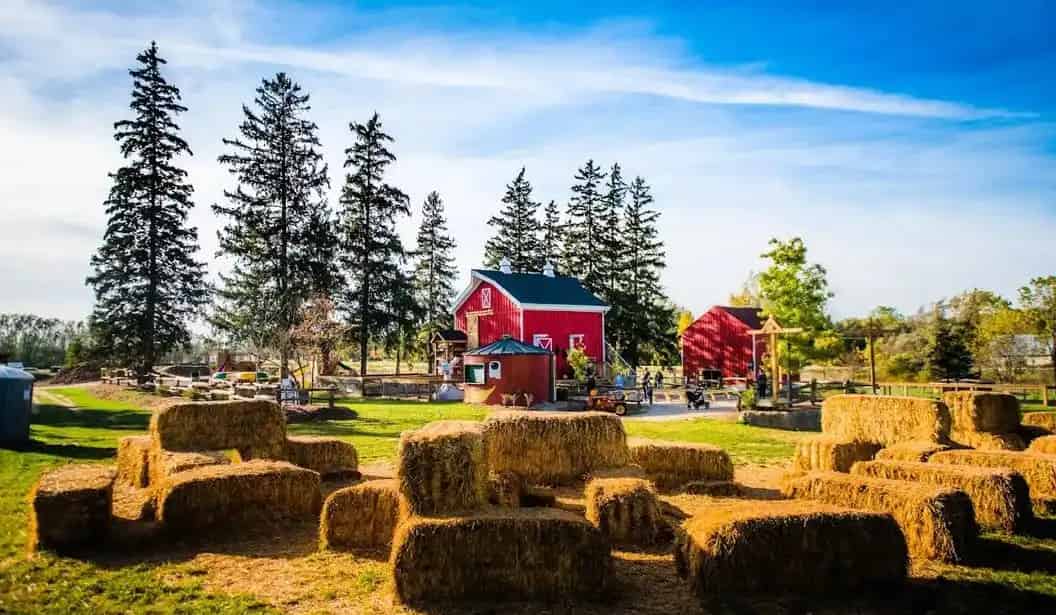 Snyder’s Family Farm