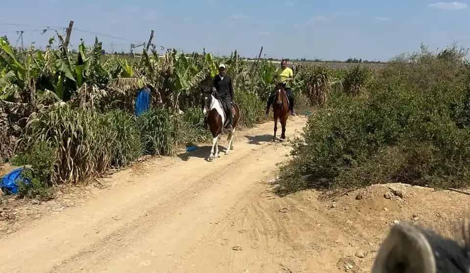 Bouky's Stable & Farm Offers