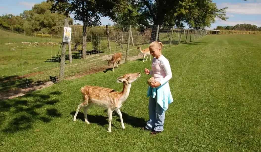 Oshawa Zoo and Fun Farm
