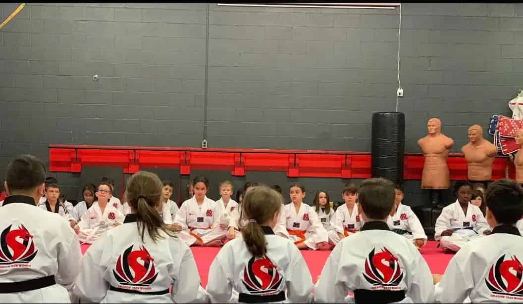 Dragon Taekwondo Academy - Oakville