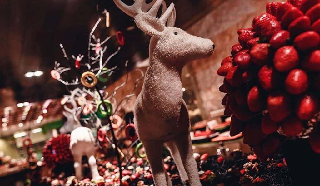 Blog Experience Image