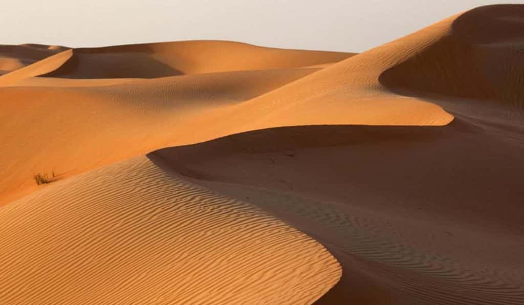 Blog Experience Image