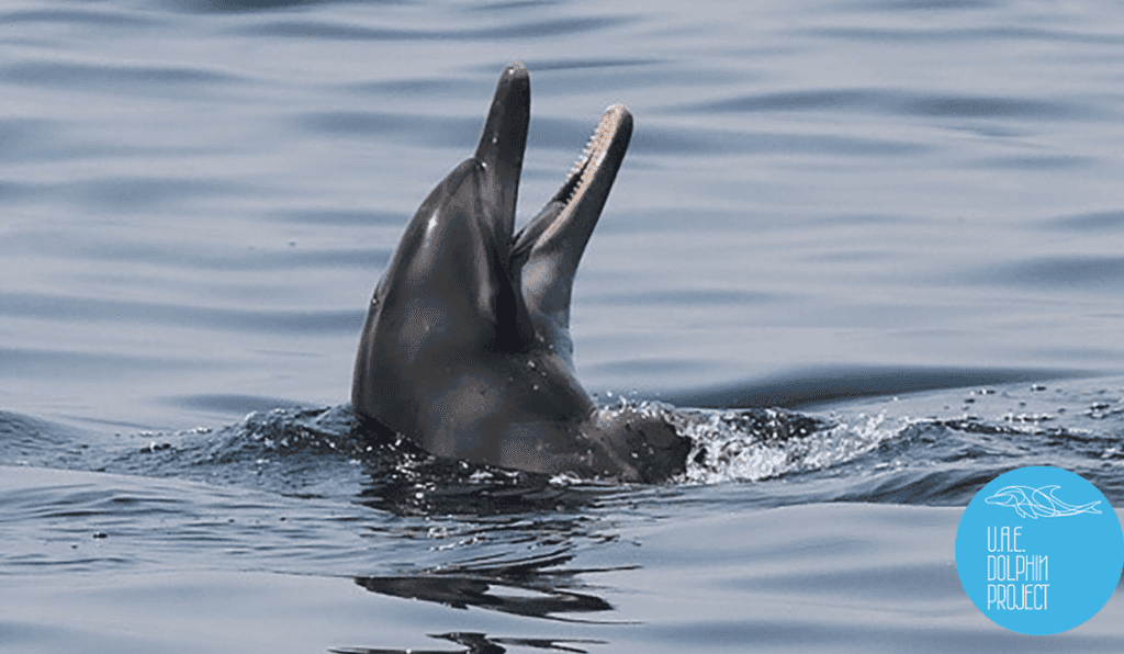 Blog Experience Image