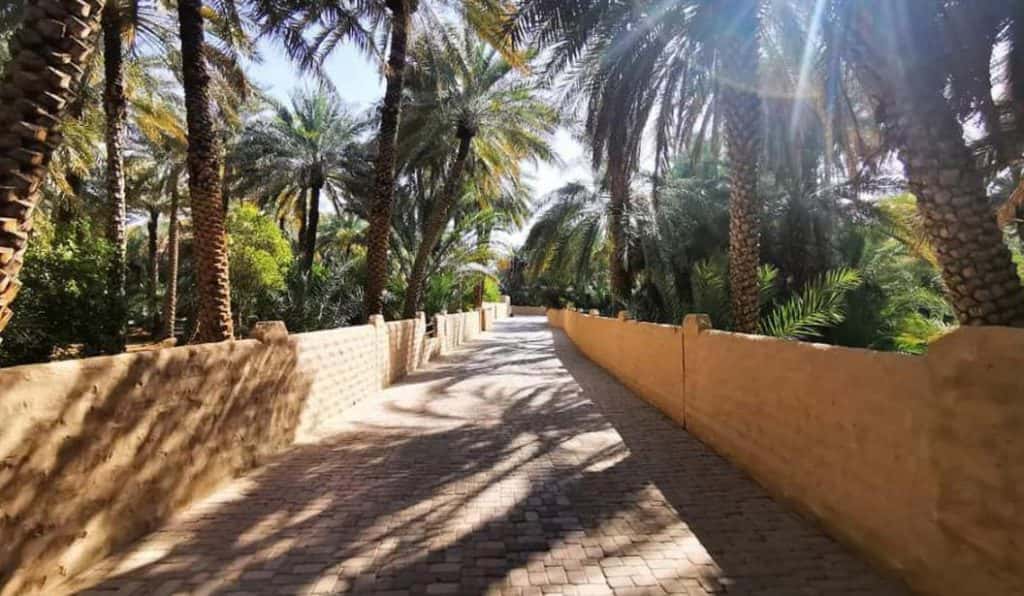 Blog Experience Image