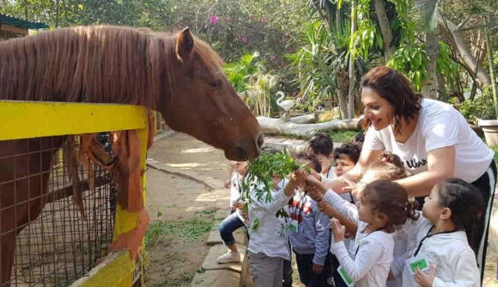 Blog Experience Image