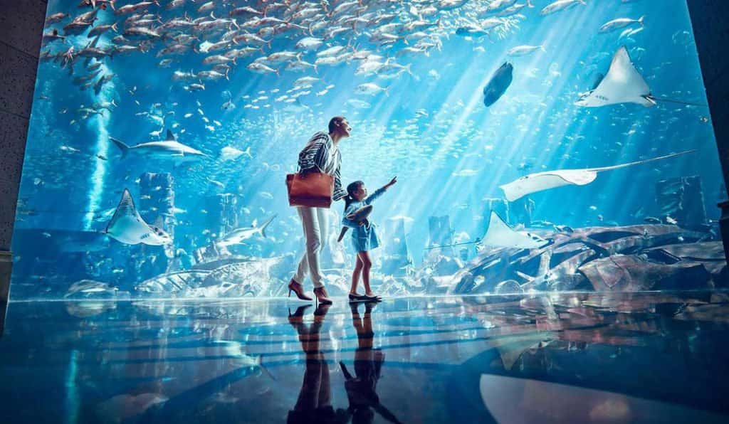 Blog Experience Image