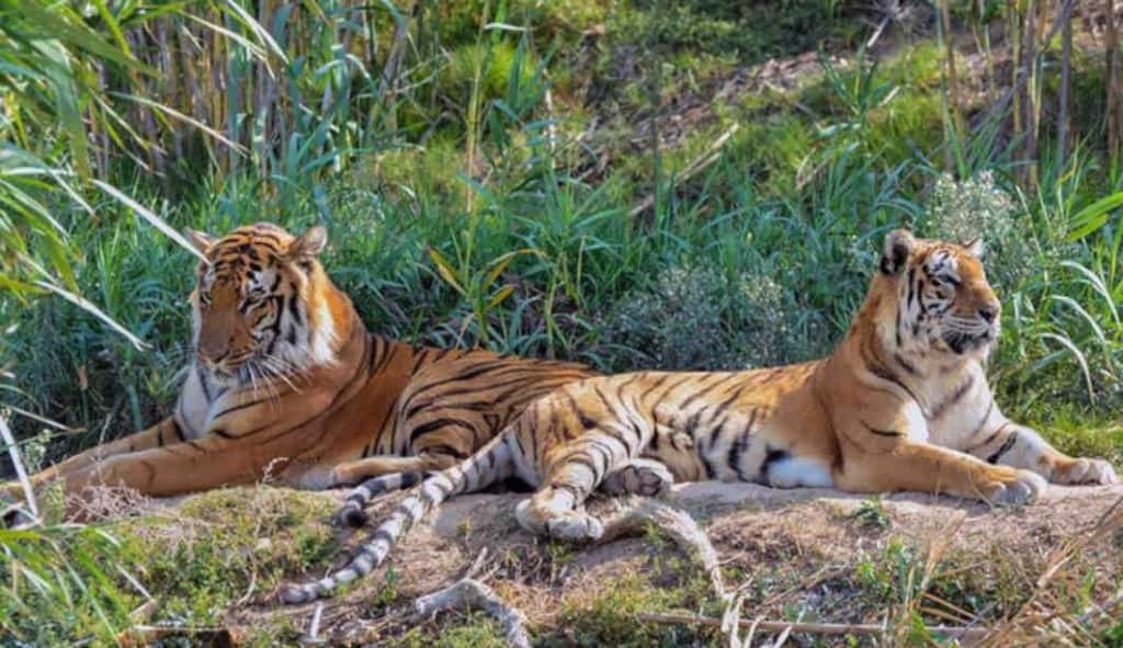 Blog Experience Image