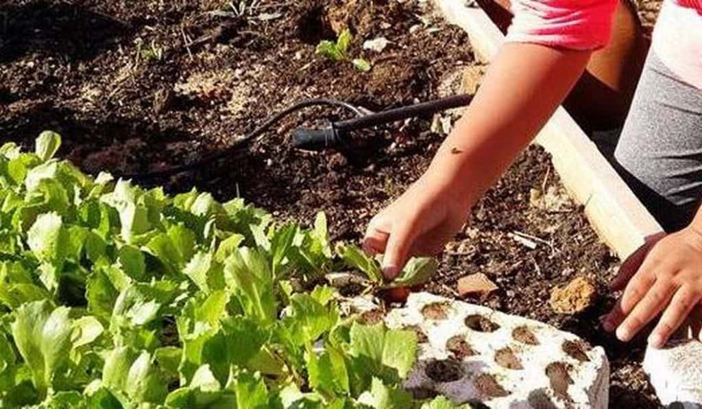 Blog Experience Image