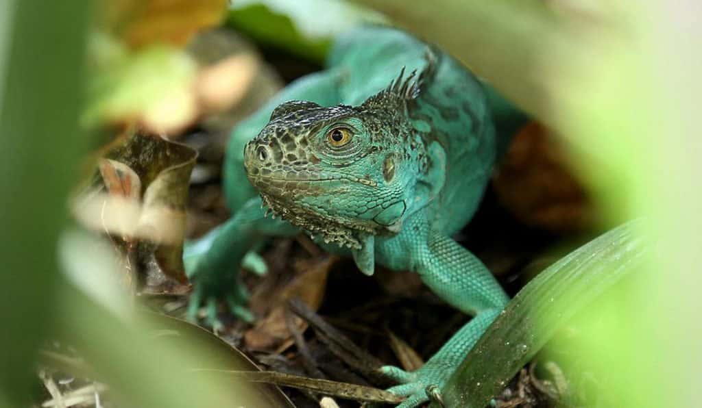 Blog Experience Image