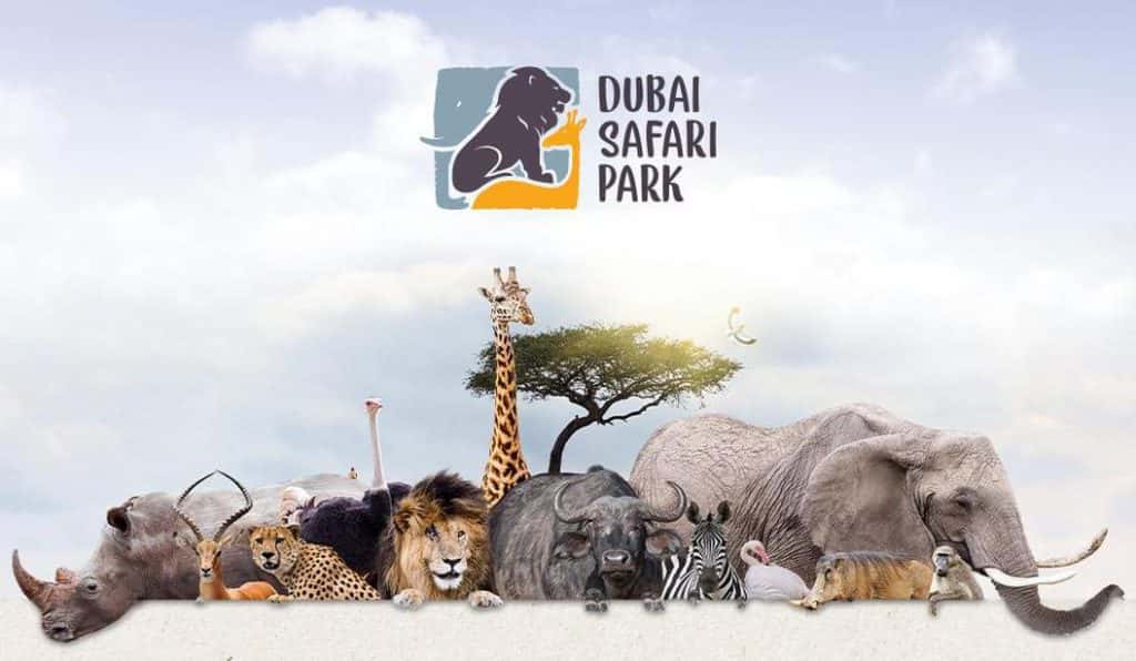 Blog Experience Image