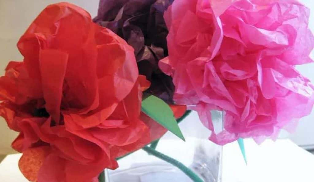 Blog Experience Image