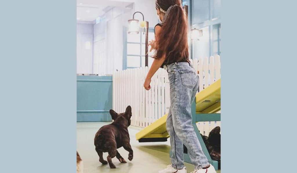 Blog Experience Image