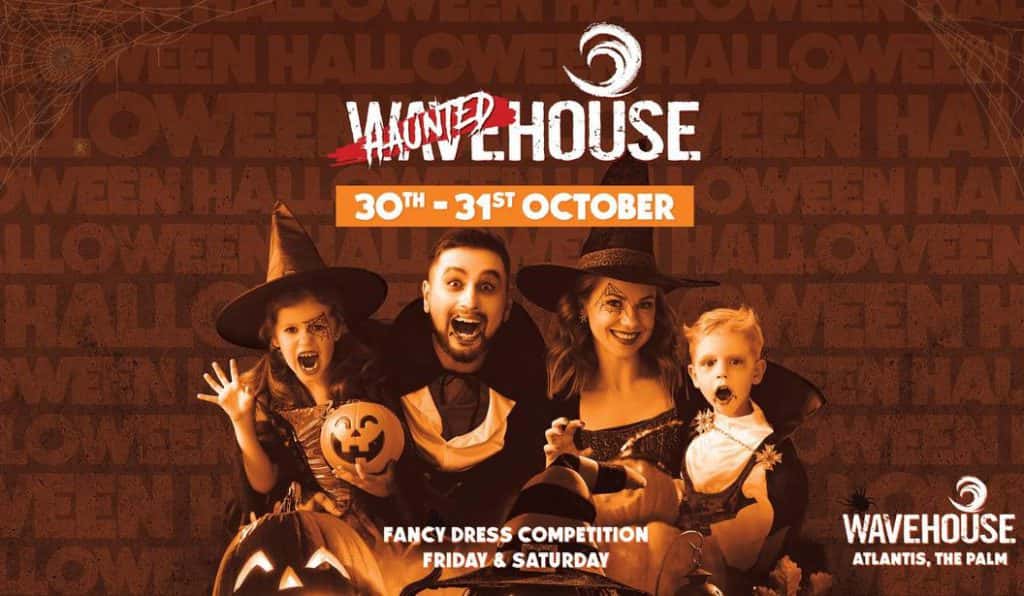 Blog Experience Image